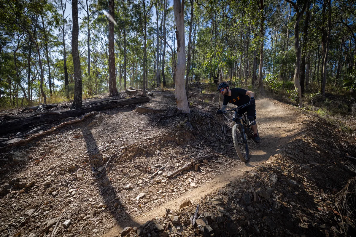 Mountain biker riding through trails