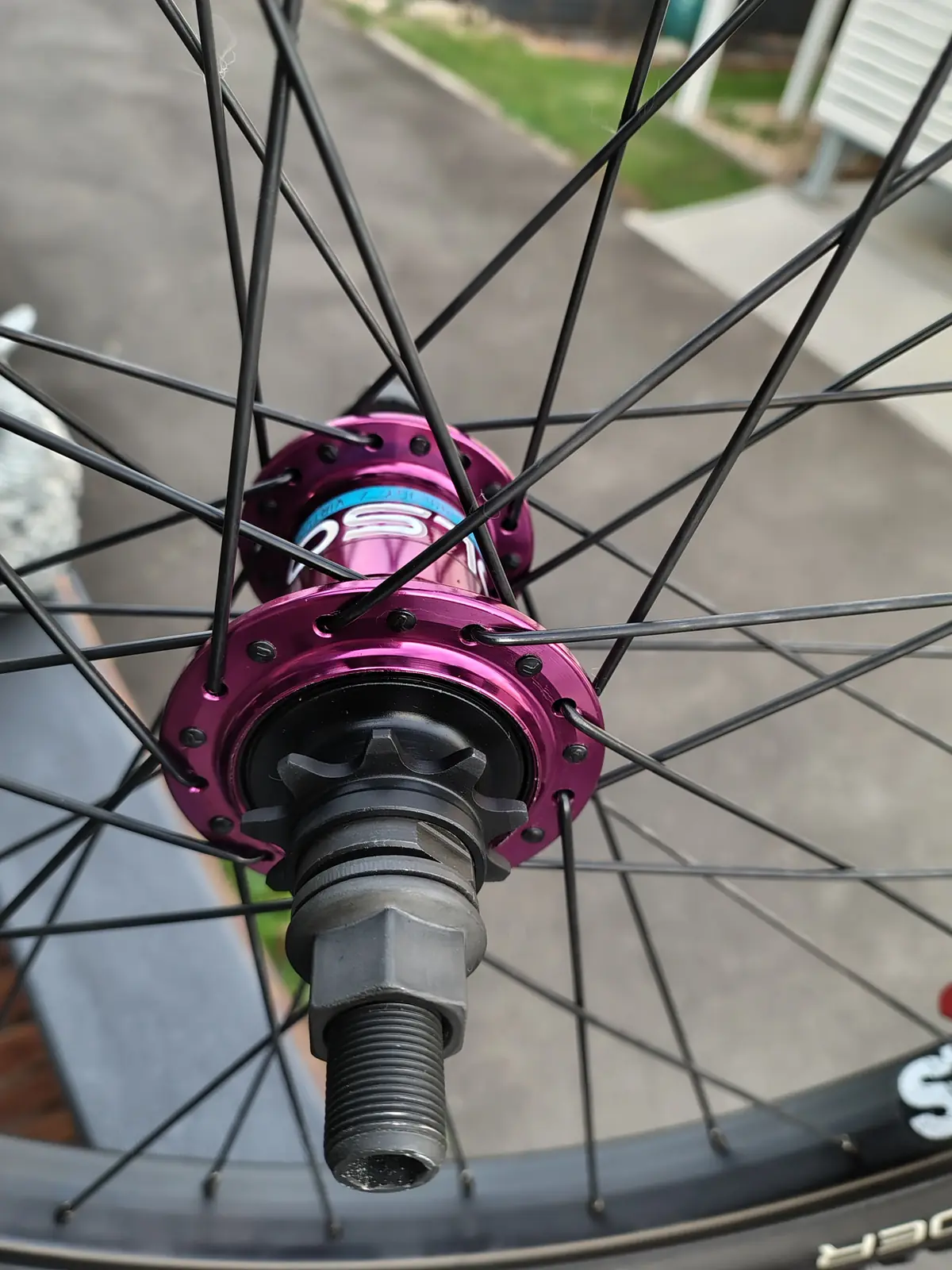 The pink hub from the drive side, showing the spoke flange and lacing